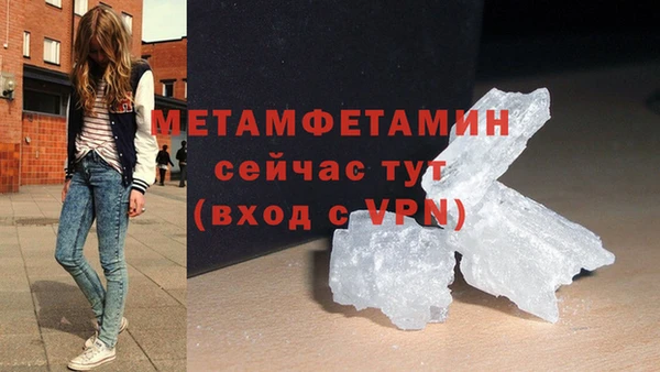 PSILOCYBIN Гатчина