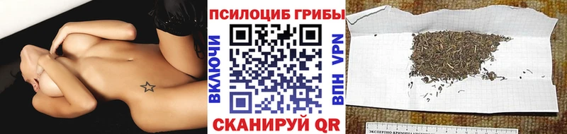 даркнет сайт  Кубинка  OMG ONION  Галлюциногенные грибы прущие грибы 